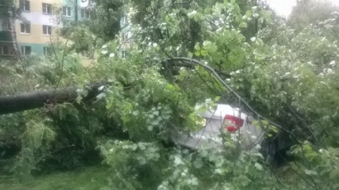 Фотофакт: в воскресенье Гомель «накрыло» дождем