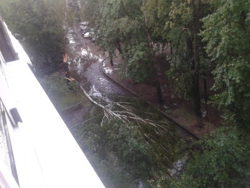 Фотофакт: в воскресенье Гомель «накрыло» дождем