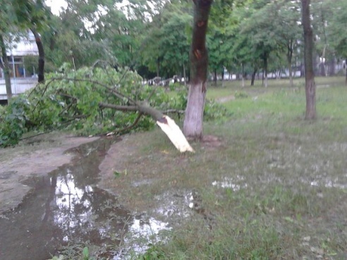 Фотофакт: в воскресенье Гомель «накрыло» дождем