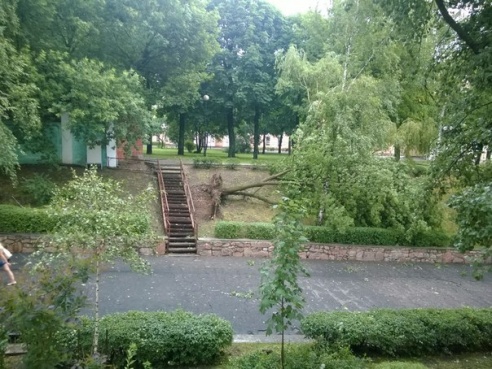 Фотофакт: в воскресенье Гомель «накрыло» дождем