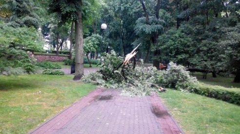 Фотофакт: в воскресенье Гомель «накрыло» дождем