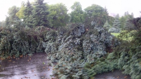 Фотофакт: в воскресенье Гомель «накрыло» дождем