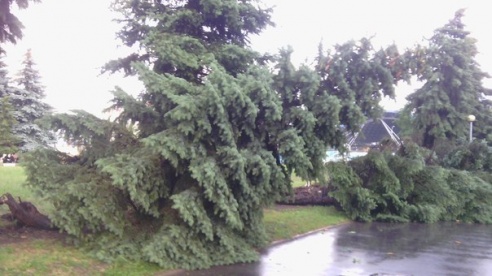 Фотофакт: в воскресенье Гомель «накрыло» дождем