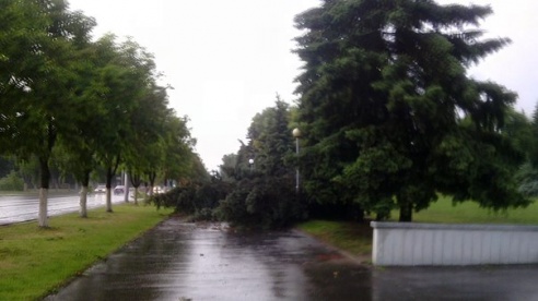 Фотофакт: в воскресенье Гомель «накрыло» дождем