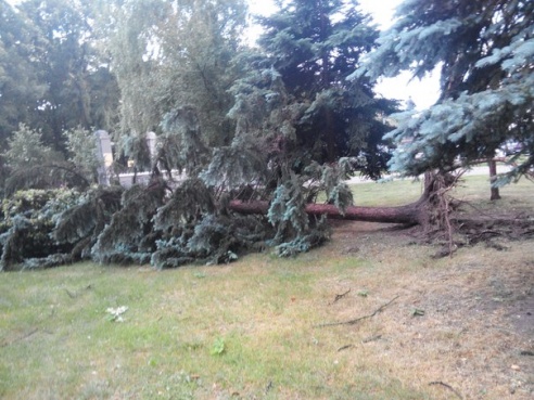 Фотофакт: в воскресенье Гомель «накрыло» дождем