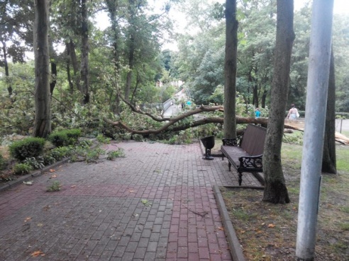Фотофакт: в воскресенье Гомель «накрыло» дождем