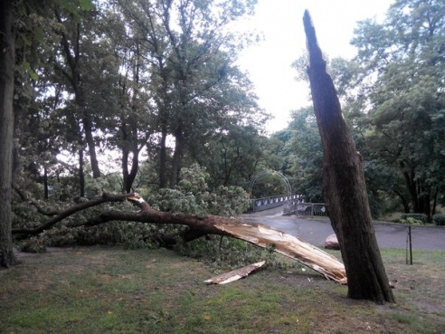 Фотофакт: в воскресенье Гомель «накрыло» дождем