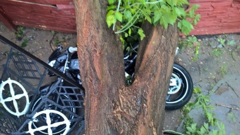 Фотофакт: в воскресенье Гомель «накрыло» дождем