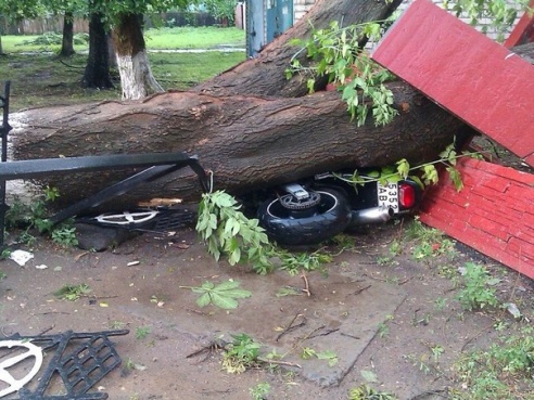 Фотофакт: в воскресенье Гомель «накрыло» дождем