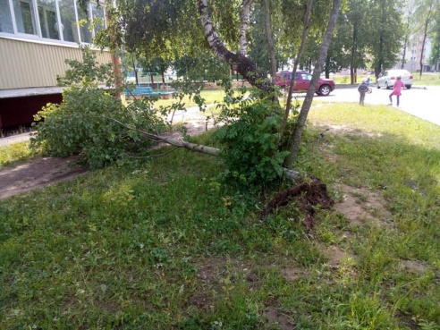 Сильный дождь и ветер в Горках: последствия