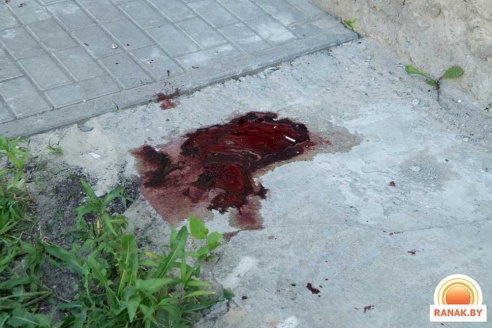 В Светлогорске девушка, выпав из окна, разбилась насмерть