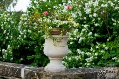 Вилейчанка о жизни в Германии: Здесь живут размеренно и не бегают за сахаром, который завтра подорожает (ФОТО)