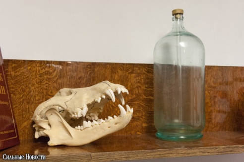 Новый гомельский квеструм предлагает горожанам поучаствовать в эксперименте профессора X (фото)