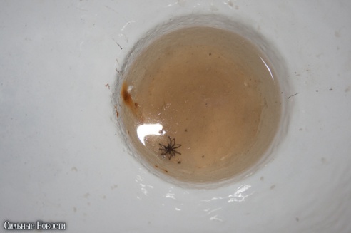 Новый гомельский квеструм предлагает горожанам поучаствовать в эксперименте профессора X (фото)