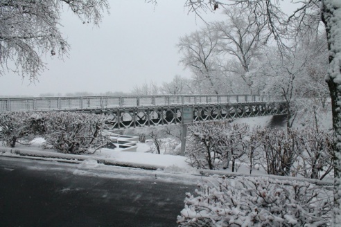 В Гомельском парке над Билецким спуском убрали пешеходный мост