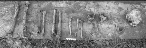 В Гомеле случайно откопали останки женщины, которым больше ста лет