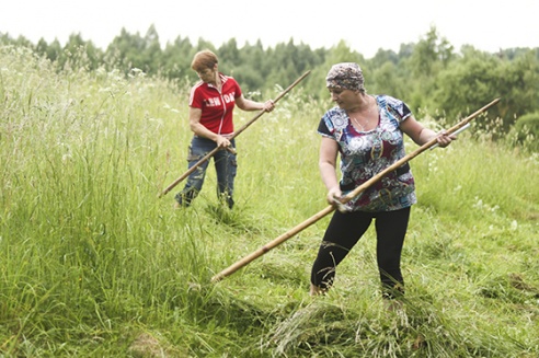 Шырэй, каса, размахніся! У вёсцы Жылінскія прайшоў ІV чэмпіянат па касьбе (+фота)