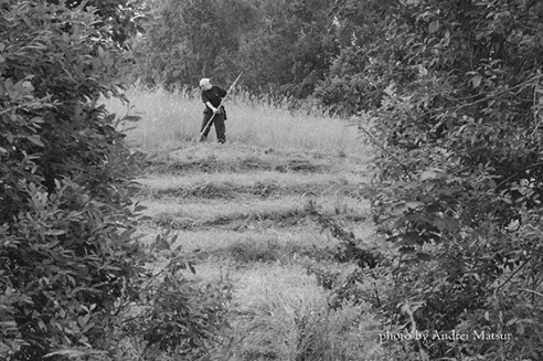 Шырэй, каса, размахніся! У вёсцы Жылінскія прайшоў ІV чэмпіянат па касьбе (+фота)