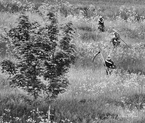 Шырэй, каса, размахніся! У вёсцы Жылінскія прайшоў ІV чэмпіянат па касьбе (+фота)
