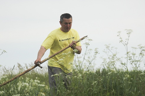 Шырэй, каса, размахніся! У вёсцы Жылінскія прайшоў ІV чэмпіянат па касьбе (+фота)