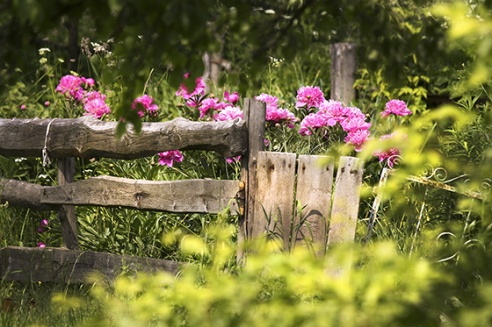 Шырэй, каса, размахніся! У вёсцы Жылінскія прайшоў ІV чэмпіянат па касьбе (+фота)