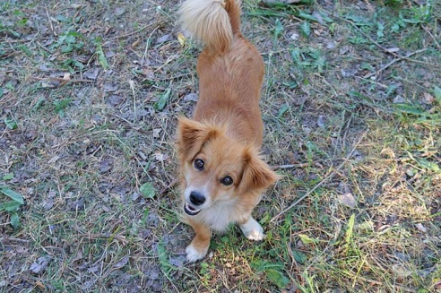 Русалле – наследие, которое удалось возродить