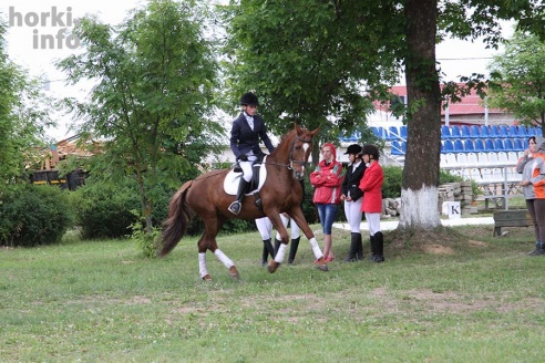 В Горках проходят конные соревнования