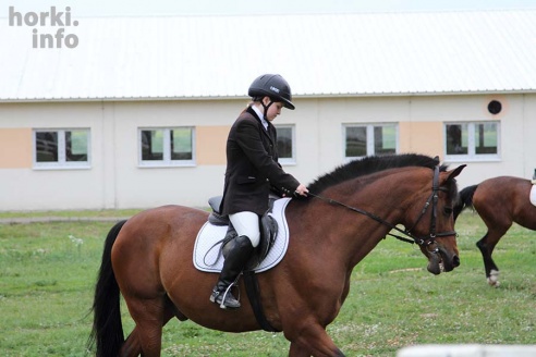 В Горках проходят конные соревнования