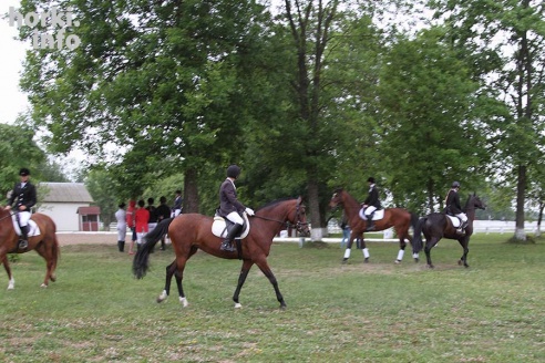 В Горках проходят конные соревнования