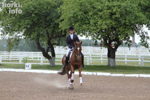В Горках проходят конные соревнования