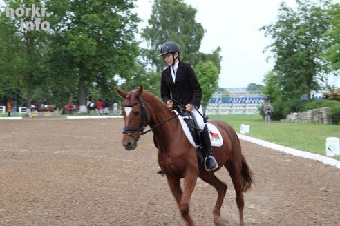 В Горках проходят конные соревнования