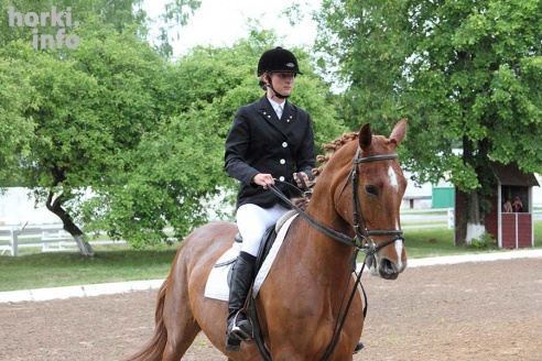 В Горках проходят конные соревнования