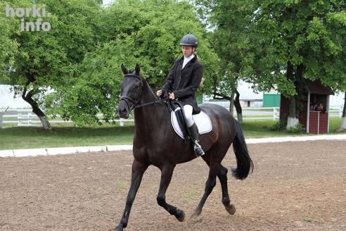 В Горках проходят конные соревнования