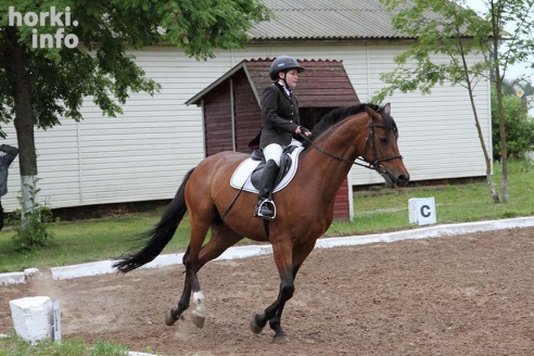 В Горках проходят конные соревнования