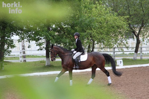 В Горках проходят конные соревнования