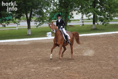 В Горках проходят конные соревнования