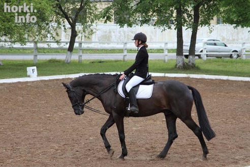 В Горках проходят конные соревнования