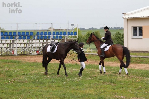 В Горках проходят конные соревнования