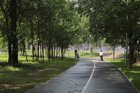 В Барановичах в парке передвигаться по велолыжероллерной трассе разрешили только спортсменам