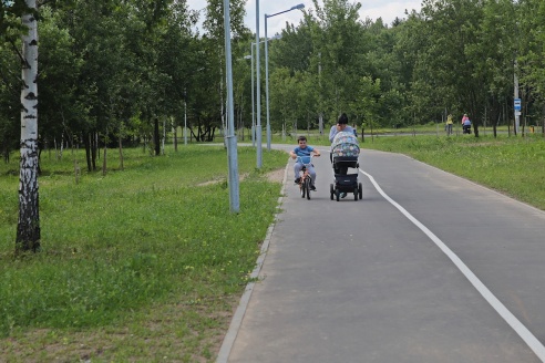 В Барановичах в парке передвигаться по велолыжероллерной трассе разрешили только спортсменам