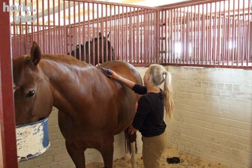 Конные соревнования в Горках. Большой фоторепортаж