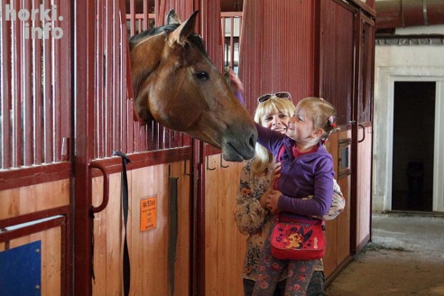 Конные соревнования в Горках. Большой фоторепортаж