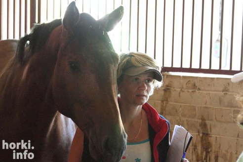 Конные соревнования в Горках. Большой фоторепортаж