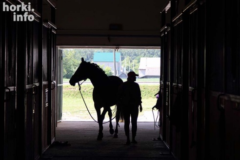 Конные соревнования в Горках. Большой фоторепортаж