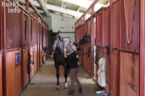 Конные соревнования в Горках. Большой фоторепортаж