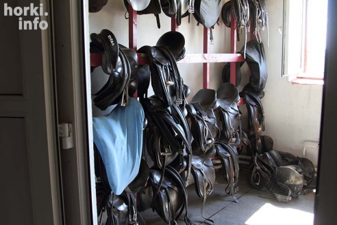 Конные соревнования в Горках. Большой фоторепортаж