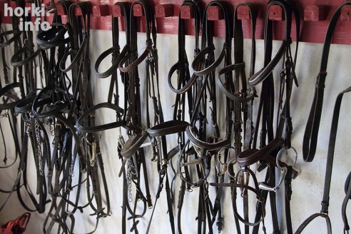 Конные соревнования в Горках. Большой фоторепортаж