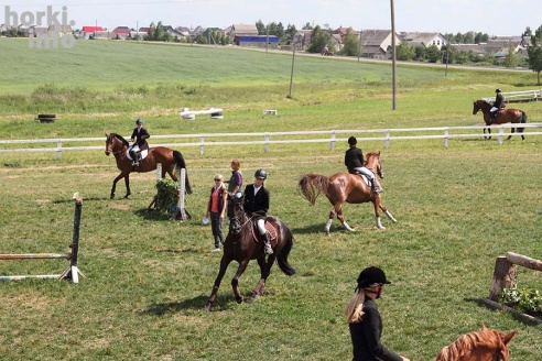 Конные соревнования в Горках. Большой фоторепортаж