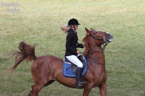 Конные соревнования в Горках. Большой фоторепортаж