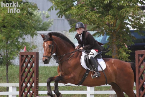 Конные соревнования в Горках. Большой фоторепортаж